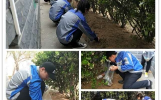 美彩国际机械有限公司“我的环境我做主”主题活动圆满结束